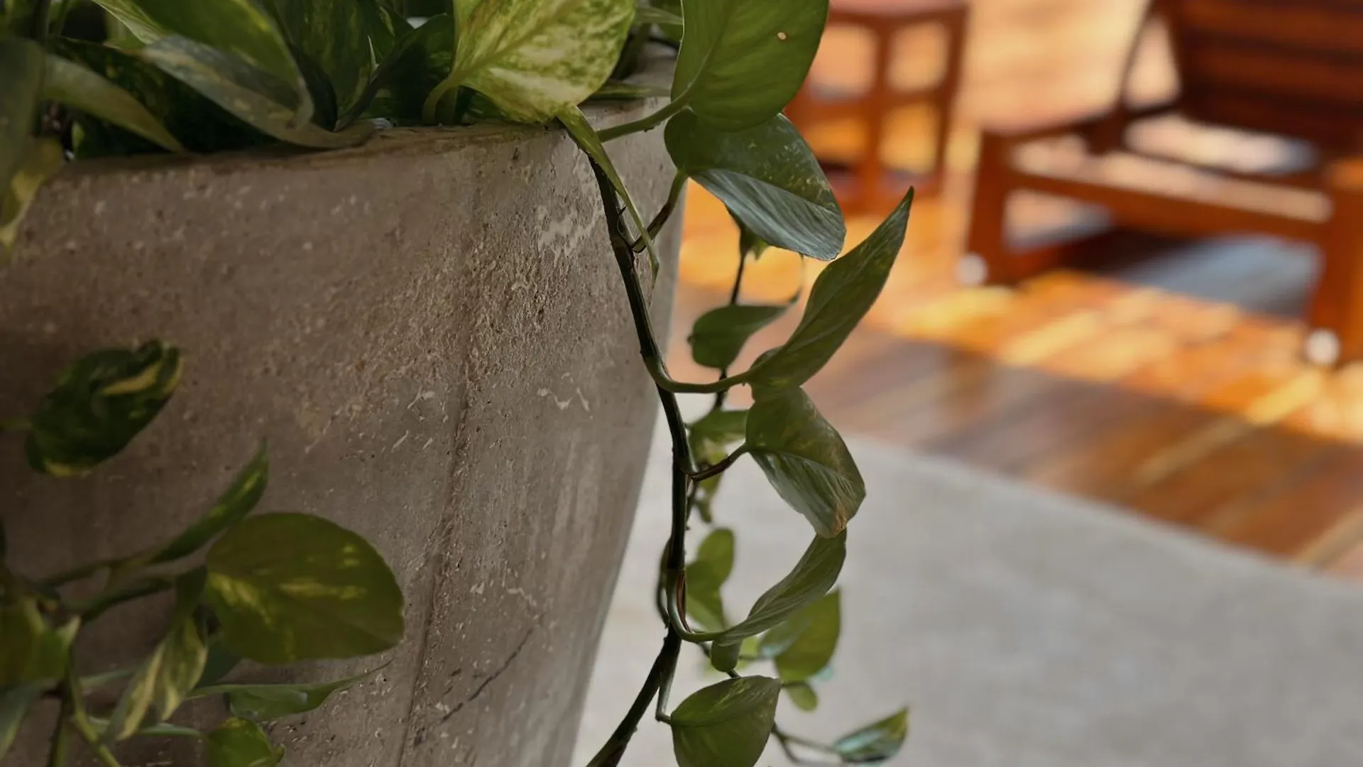 Ophelia Tulum Condo In Aldea Zama מלון דירות