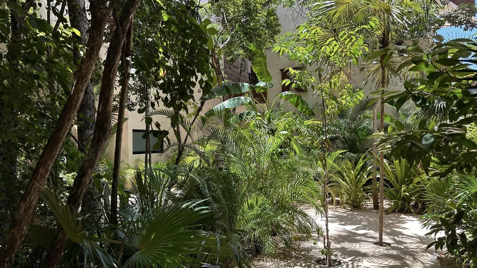 מלון דירות Ophelia Tulum Condo In Aldea Zama מקסיקו